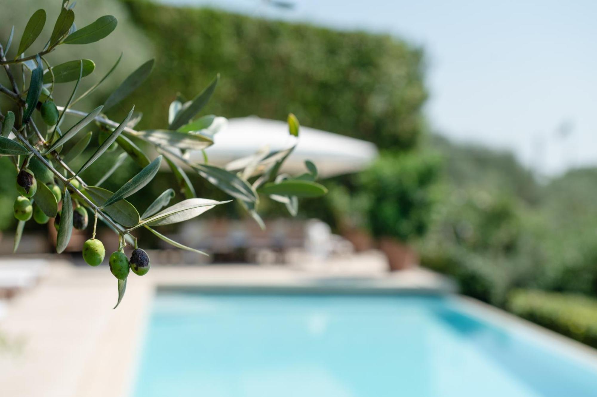 Villa Eden Forte Dei Marmi With Private Infinity Pool Santa Lucia  Exterior foto